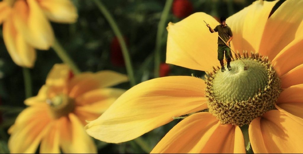 Gartenpflege Oberösterreich