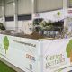 Gartenbaumesse Tulln 2020:  Grünes Handwerk hautnah erleben mit den niederösterreichischen Gartengestalter Teams