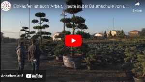 Einkaufstour 2024 für unsere Baumschule